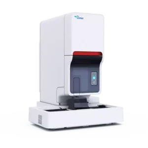 XN-31